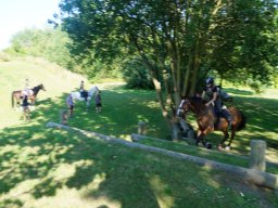 dsc06044_web